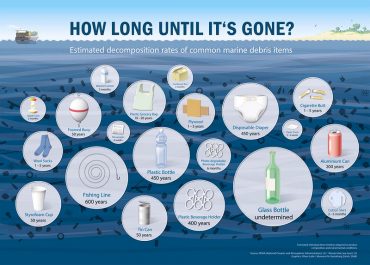 Per quanto tempo i rifiuti restano nell’ambiente?