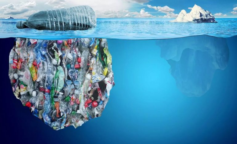 Scoperto l’enzima che mangia la plastica presente nei mari