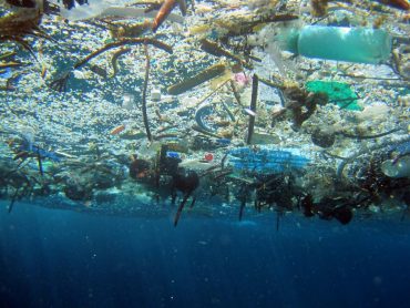 More and more plastic in the oceans