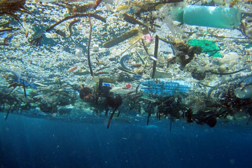 More and more plastic in the oceans