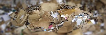 Approvato il decreto “End of Waste” di carta e cartone: un passo avanti nell’economia circolare.
