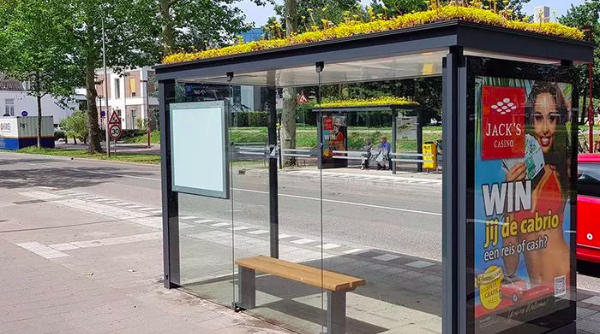 In Olanda la casa delle api è alla fermata del bus
