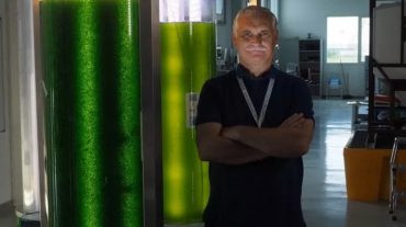 Una foresta liquida di microalghe per combattere la CO2 di Porto Marghera