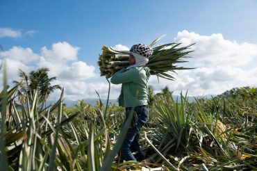 Piñatex, il tessuto vegetale che nasce dagli scarti dell’ananas