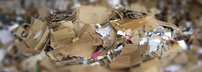 Approvato il decreto “End of Waste” di carta e cartone: un passo avanti nell’economia circolare.